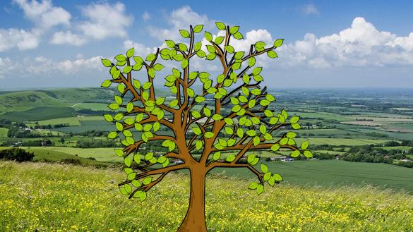 England and Wales prayer tree