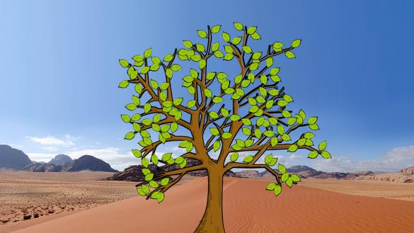 Prayer tree leaves: the Middle East