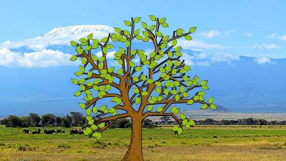 Prayer tree: Africa