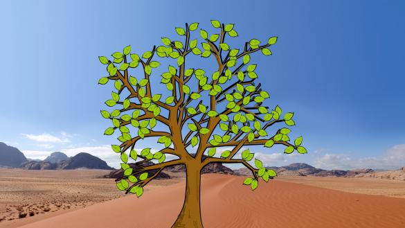 Middle East and North Africa prayer tree