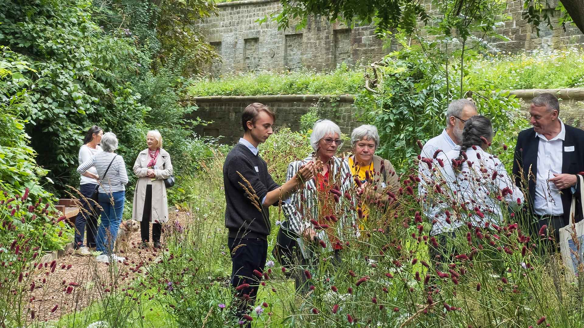 Psalm 27 Garden hailed ‘an amazing miracle’