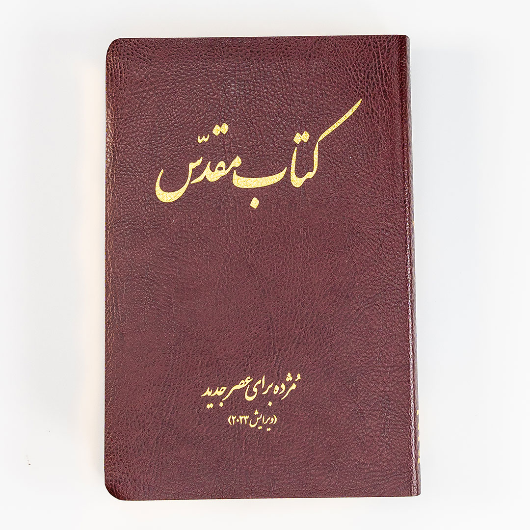 Today's Persian Version Revised Deluxe (Burgundy)