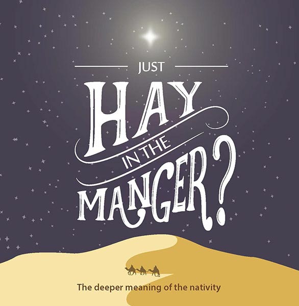 Just Hay in the Manger? Christmas resource