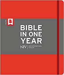 NIV Journaling Bible in One Year