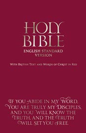 English Standard Version (ESV) Bonded Leather Bible