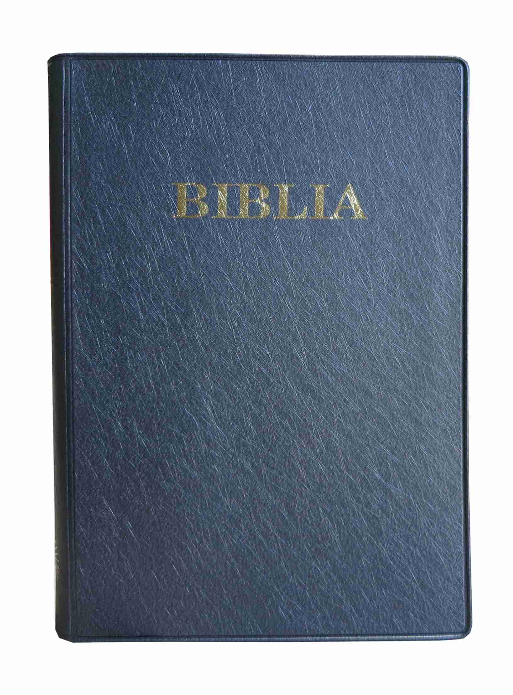 Biblia sau Sfanta Scriptura (Romanian)