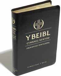 Beibl Cymraeg Newydd Diwygiedig Lledr - New Welsh Bible (BCND) Revised Standard Leather Bible