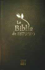 Spanish Popular (Dios Habla Hoy) Interconfessional Bible