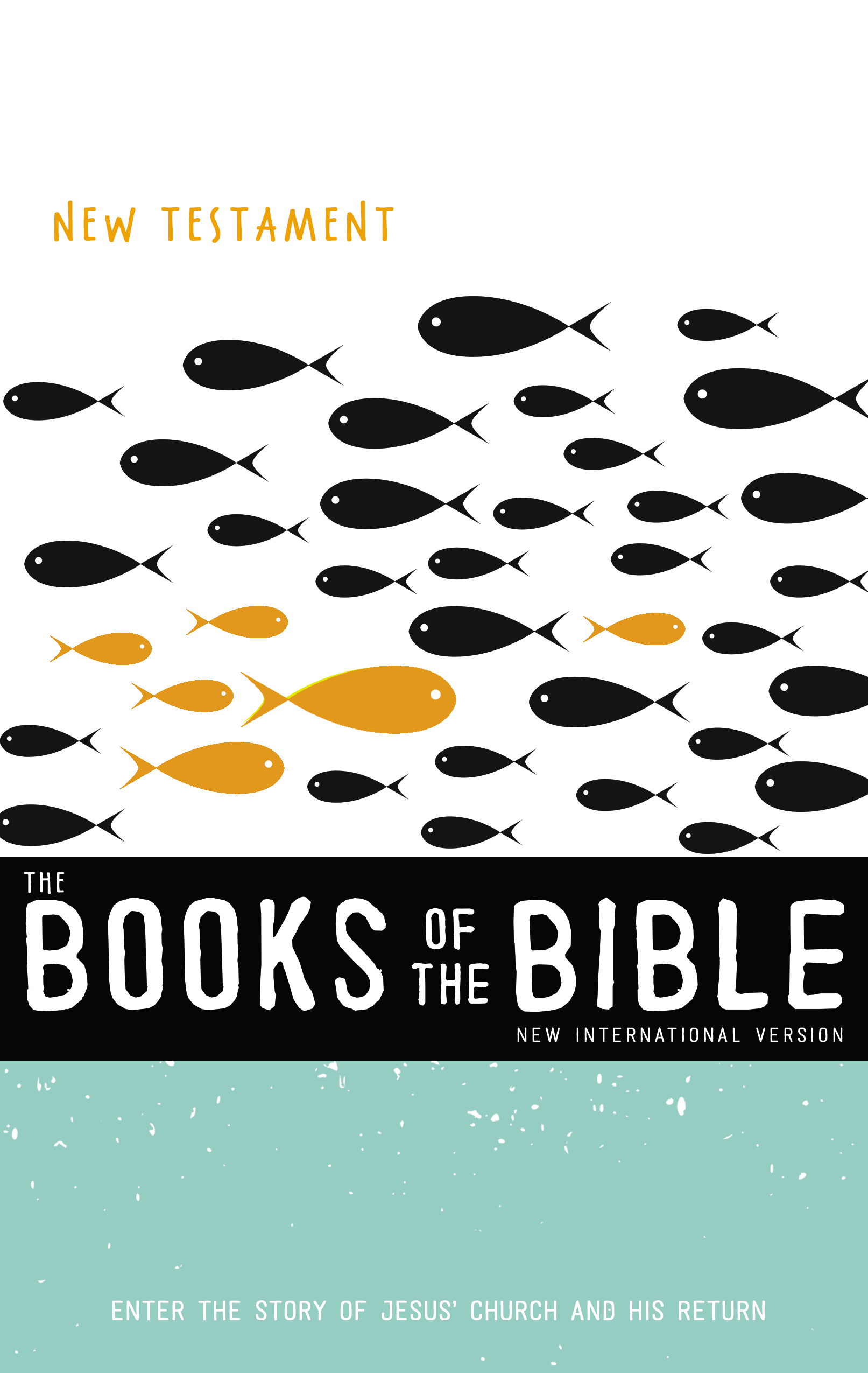 NIV, The Books of the Bible: New Testament